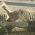 Pompei, una foto di duemila anni fa