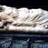 Cristo Velato a Napoli
