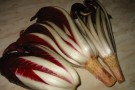 Radicchio rosso di Treviso IGP Radicchio rosso di Treviso IGP