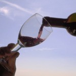 vino