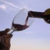 Vino italiano sicuro al 100%