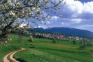 Visitare la Val di Non in bicicletta Visitare la Val di Non in bicicletta