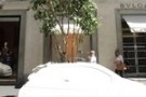 A Milano in Via Monte Napoleone alberi nelle 500 A Milano in Via Monte Napoleone alberi nelle 500