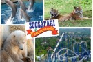 Zoosafari e Fasanolandia