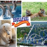 zoosafari fasanolandia zoosafari fasanolandia