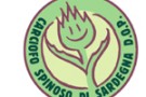 Carciofo Spinoso della Sardegna DOP