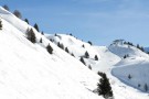 Sciare al comprensorio Adamello Ski, oasi di pace e di relax Sciare al comprensorio Adamello Ski, oasi di pace e di relax