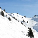 tonale21 tonale21
