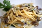 Telline, vongole e bianchetti a rischio