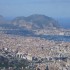 Palermo:  avvistata una pantera nera in giro per la città