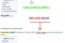 Genchi risorge su Wikipedia Genchi risorge su Wikipedia