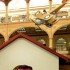 Bologna, neonato muore per il freddo