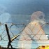 Immigrazione, sbarchi a Lampedusa e Pantelleria