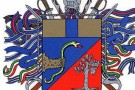 Roma: tampona e investe carabinieri in borghese. Roma: tampona e investe carabinieri in borghese.