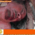 Gheddafi è stato ucciso