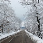 neve neve