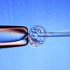 A cosa servono le cellule staminali