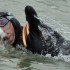 Uomo senza braccia e senza gambe attraversa a nuoto lo Stretto di Bering